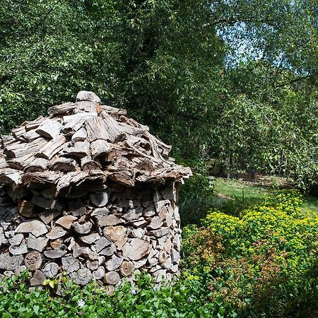 Hollyhock Bed & Breakfast แมซิดอน ภายนอก รูปภาพ