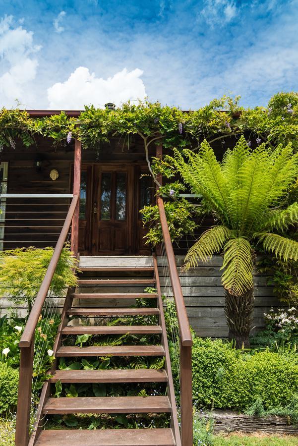Hollyhock Bed & Breakfast แมซิดอน ภายนอก รูปภาพ