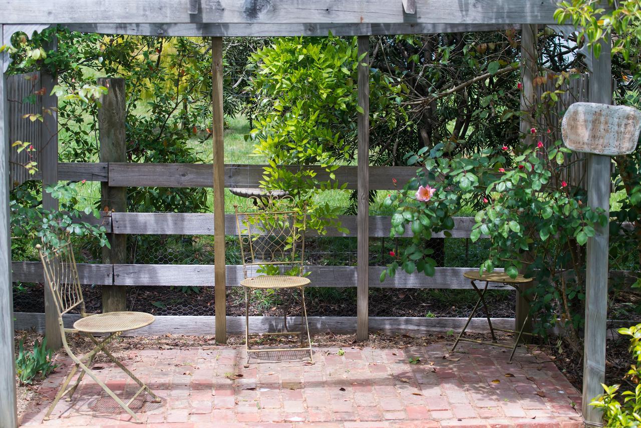 Hollyhock Bed & Breakfast แมซิดอน ภายนอก รูปภาพ